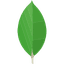 MongoDB